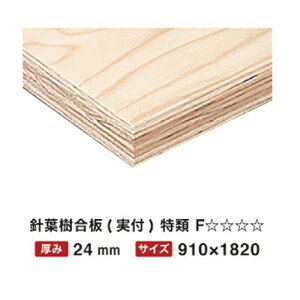 yGg[Ń|Cg10{zjt  24mm 910×1820 t F y֐ꕔn菤iz