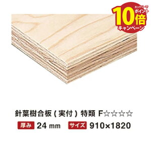 jt  24mm 910×1820 t F y֐ꕔn菤iz