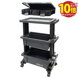 yGg[Ń|Cg10{zH c[S(ie[u^)&p[cXgbJ[Zbg vŌy [4548844803136] ݃LX^[tړNN SK11 Y [J[