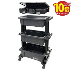 yGg[Ń|Cg10{zH c[S(Si{bNX^)&p[cXgbJ[Zbg vŌy [4548844803143] ݃LX^[tړNN SK11 Y [J[