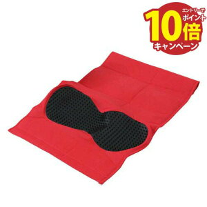 yGg[Ń|Cg10{z}bT[W gQ`ޗpJo[ bh [4954877583844] W31.5×L56.5×H0.5cm `ނɑĎgppJo[ NVI [J[