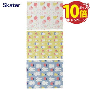 yGg[Ń|Cg10{zbtnӂ 3Zbg ~btB[ KFWC3 XP[^[ Skater [4973307674518] zɂꂽ100 H@ z tL Lb`NX y