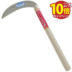  XeX 180mm E-Value EG-240 [4977292600484] Y [J[