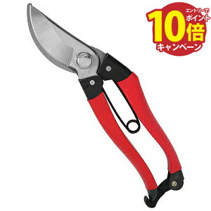 yGg[Ń|Cg10{z Lp g SGP-20L [4977292628020] Y [J[