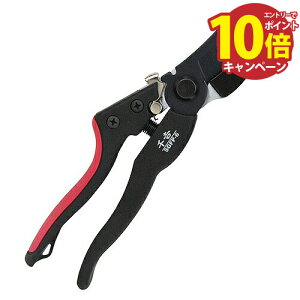 yGg[Ń|Cg10{z OXt@Co[ ChObv} g SGFP-6 [4977292628211] Y [J[