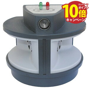 ElY~ lY~ފ STP-1 ZteB[3 [4977292646574] Y [J[