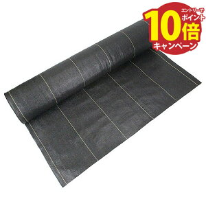 yGg[Ń|Cg10{z|_Ǝ xhV[g  ZteB-3 1MX50M [4977292663793] Y [J[