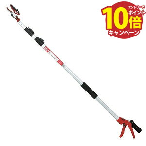 yGg[Ń|Cg10{z} ͙OiLk} g SGLP-1 [4977292685337] Y [J[