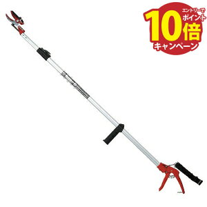 yGg[Ń|Cg10{z} ͙Lk}2i2M g SGLP-4 [4977292685436] Y [J[