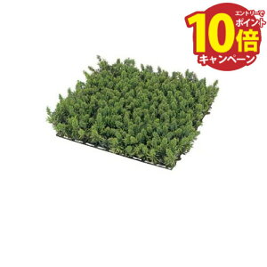 yLINEN[|zzzXMSPZbg [GN-21] 27×27cm ^JV[ Takasho[J[ @ll