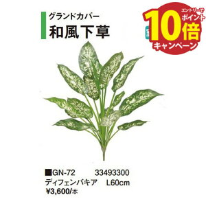 yLINEN[|zzzfBtFoLA [GN-72] L60cm ^JV[ Takasho[J[ @ll