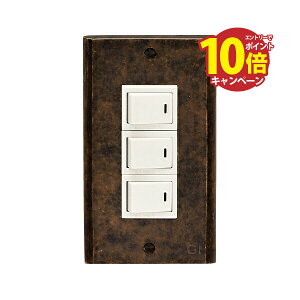 �yLINE�N�[�|���z�z���z�^�J �X�C�b�`�v���[�g(�t���J���[�V���[�Y�p)PL03 �ÐF �A���e�B�[�N �u���X �G�� [790053] �S�[���L�A�C�����h