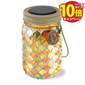 yLINEN[|zzz\[[K[fCg Etoile Gg Citrus Nut [KL-10354] \[[pltŎ[dԎ_ tFA[Cg LV}G