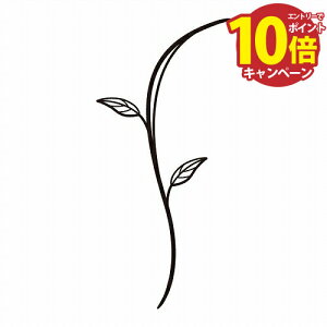 yGg[Ń|Cg10{z\DIvV fR[V u` [WS-20B] Pi ZNtg [J[