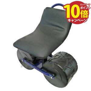 yGg[Ń|Cg10{z| K[f`FA[DX ω׏d80kg [XC-1] ɑ^Cň 470×255×510mm 360x] VZC [J[