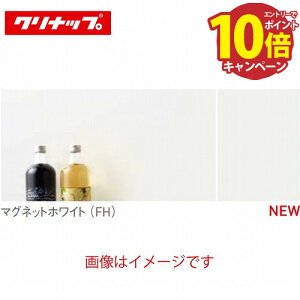 �yLINE�N�[�|���z�z���z�V�X�e���L�b�`������ �N�����ǃ}�O�l�b�g�Ή��p�l��(1���g) �N���i�b�v cleanup [ZKX240NNFH-K] 2420×3.4×910mm �}�O�l�b�g�z���C�g �ԏ�n�� ���[�J�[����