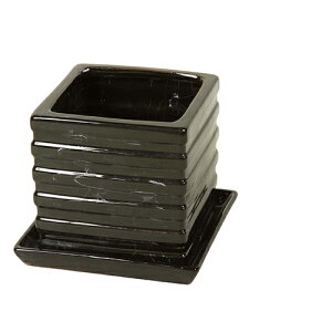 �yLINE�N�[�|���z�z���z�v�����^�[(�M�t��) [85892] ��125×H120 ���m�Αn GARDEN COLLECTIONT(�K�[�f���R���N�V����) ���[�J�[����