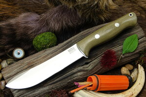 _ }Ee} O[ LoX }CJ^ ubVNtgiCt AEghAiCt ToCoiCt iCt AEghA