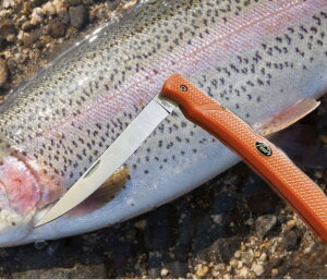 AEghAGbW tBbV{[ tBiCt IW ubVNtgiCt AEghAiCt ToCoiCt LviCt LsOiCt iCt