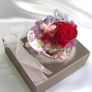 ^ vU[uht[ Mtg v[g P[X AWg@36n[ghbv ݌ɂȂȂ莟I XAAF _oȕ͍wT