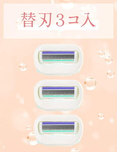 VbN Schick CgDCV Ƃ蔧 ֐n(3R)J~\ zʁFMR