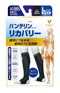 oeT|[^[ Jo[^Cv J[tX[u ӂ͂p 傫LTCY(ӂ͂38~43cm)ErErp RXubN 2@zʁFMR