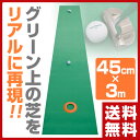 【サマーバーゲン 5％OFF】 【あす楽】 エンプレイス(nplace) パター練習マット「GoodPat」(45cm×3m) 3way専用ホールカップ付 順目... ランキングお取り寄せ