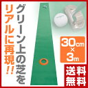 【サマーバーゲン 5％OFF】 【あす楽】 エンプレイス(nplace) パター練習マット「GoodPat」(30cm×3m) 3way専用ホールカップ付 順目... ランキングお取り寄せ