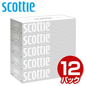 スコッティ (SCOTTIE) ティッシュペーパー 200組5箱×12パック(60箱) 41735 ティシュペーパー まとめ買い ケース販売 ボックスティッシュ 日用品 最安値 ティッシュ 日本製紙クレシア 【送料無料】