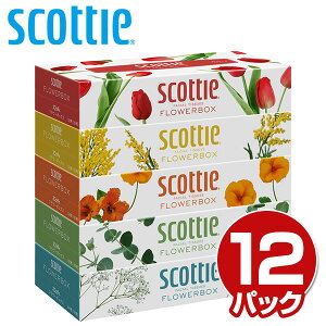 スコッティ (SCOTTIE) ティッシュペーパー フラワーボックス 320枚(160組)5箱×12パック(60箱) 41253 ティシュペーパー まとめ買い ケース販売 日用品 最安値 ティッシュ 日本製紙クレシア 【送料無料】