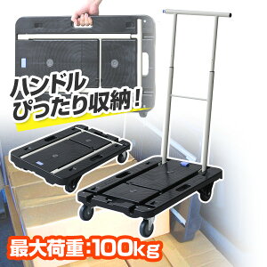y|Cg10{z RpNgL[ ܂肽 ω׏d100kg nhLk 1/4 CC-211K L[J[g É y GXg}[ tbg ܂  J[g iV y