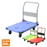 サイレントマスター (積載荷重300kg) スペシャルブレーキ付き ピタッと止まる静運キャリー300 N-DSK-301B…