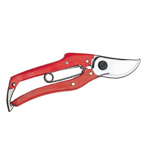  v200 180mm ԕ N-202R |   K[fjO |pi |  jVKLH yz