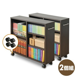 山善 押入れ収納 クローゼット収納 通販 価格比較 価格 Com