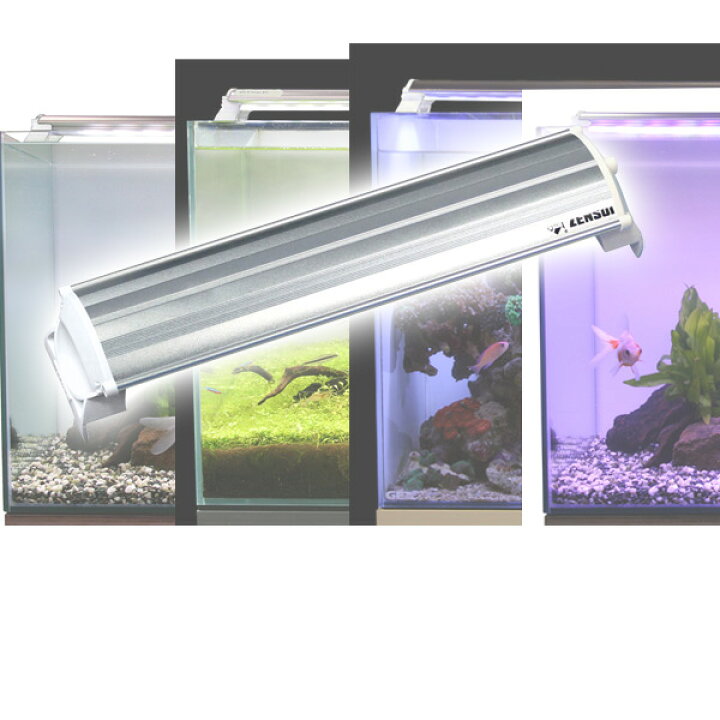 楽天市場 Ledランプ 30cm 水槽用 照明 ライト 水槽用照明 Ledライト 鑑賞魚 熱帯魚 アクアリウム アクセサリー ゼンスイ 送料無料 くらしのｅショップ