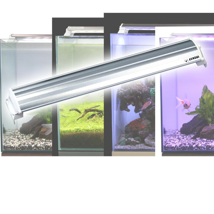 楽天市場 Ledランプ 45cm 水槽用 照明 ライト 水槽用照明 Ledライト 鑑賞魚 熱帯魚 アクアリウム アクセサリー ゼンスイ 送料無料 くらしのｅショップ