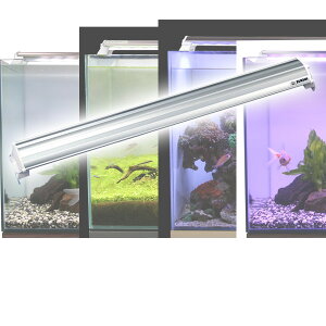 LEDランプ 60cm 水槽用 照明 ライト 水槽用照明 LEDライト 鑑賞魚 熱帯魚 アクアリウム アクセサリー ゼンスイ 【送料無料】