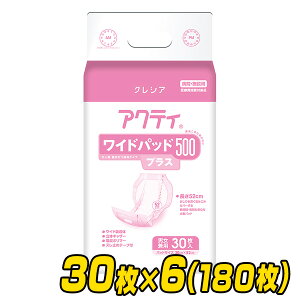 yƖpzANeB Chpbh500vX(z500cc)30×6(180) lpނ lpނ pނ lpIc Ɩp {NVA yz