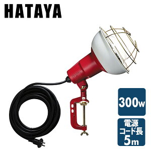 300W Ɠ() OhJ^ R[h5m RCY-305 @ Ɩ Cg q Lv Ə n^ HATAYA yz