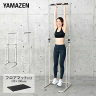 ぶら下がり健康器＆フロアマット お買い得セット BBK-220/EXP100 ぶら下がり健康機 ぶらさがり健康器 健…