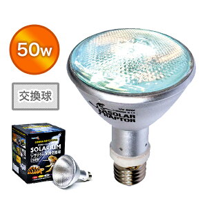 �\�����E�� 50W ������ 50W �����v ������ �\�P�b�g�Z�b�g �[���X�C �y���������z