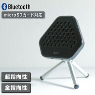 スピーカー 指向性スピーカー ブルートゥーススピーカー ワイヤレススピーカー CF-S100 アンプ一体型 指…