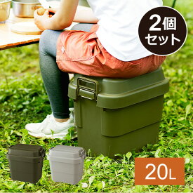 トランクカーゴ 座れる 収納ボックス 収納ケース コンテナボックス おしゃれ20L (2個セット) TC-20*2 ハードケース ハードボックス 蓋付き ふた付き フタ付き コンテナボックス トランクボックス 車載 おしゃれ リス RISU 【送料無料】