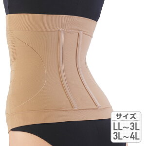 { pT|[^[ (LL-3L / 3L-4L) p  xg Lw p j  pT|[^[ T|[^[ 荘 RZbg pxg C_C yz