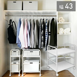  [bN LX^[t 43 s58.5 64cm [ bN LX^[t[bN N[[bg[ S J[g   RP YAMAZEN yz