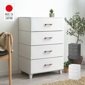 `FXg 4i LC`FXg 56 s45 87 cm [P[X [{bNX { o rO ʏ N[[bg [ TJ SANKA yz