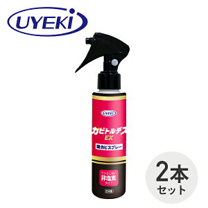 JrgfXEX hJrXv[ 120ml×2{ Jr  hJr h   Xv[ JrƂ Jr |  C ^C  V rO g J[e N[[bg  ʔ 