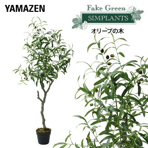 tFCNO[ I[u̖ 125cm FG-OLIV55 lH O[ ϗtA tFCN  A  A A i` CeA  sv ͂Ȃ ItBX RP YAMAZEN y