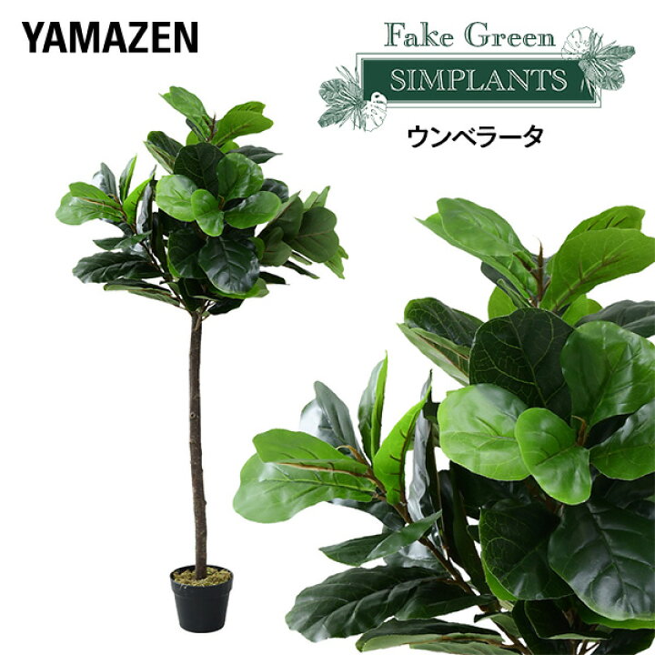 楽天市場】フェイクグリーン ウンベラータ 高さ130cm FG-UNBL130 人工 