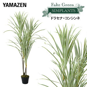 tFCNO[ hZiERVl 125cm FG-DRCON125 lH O[ ϗtA tFCN  A  A A i` CeA  sv ͂Ȃ ItBX R